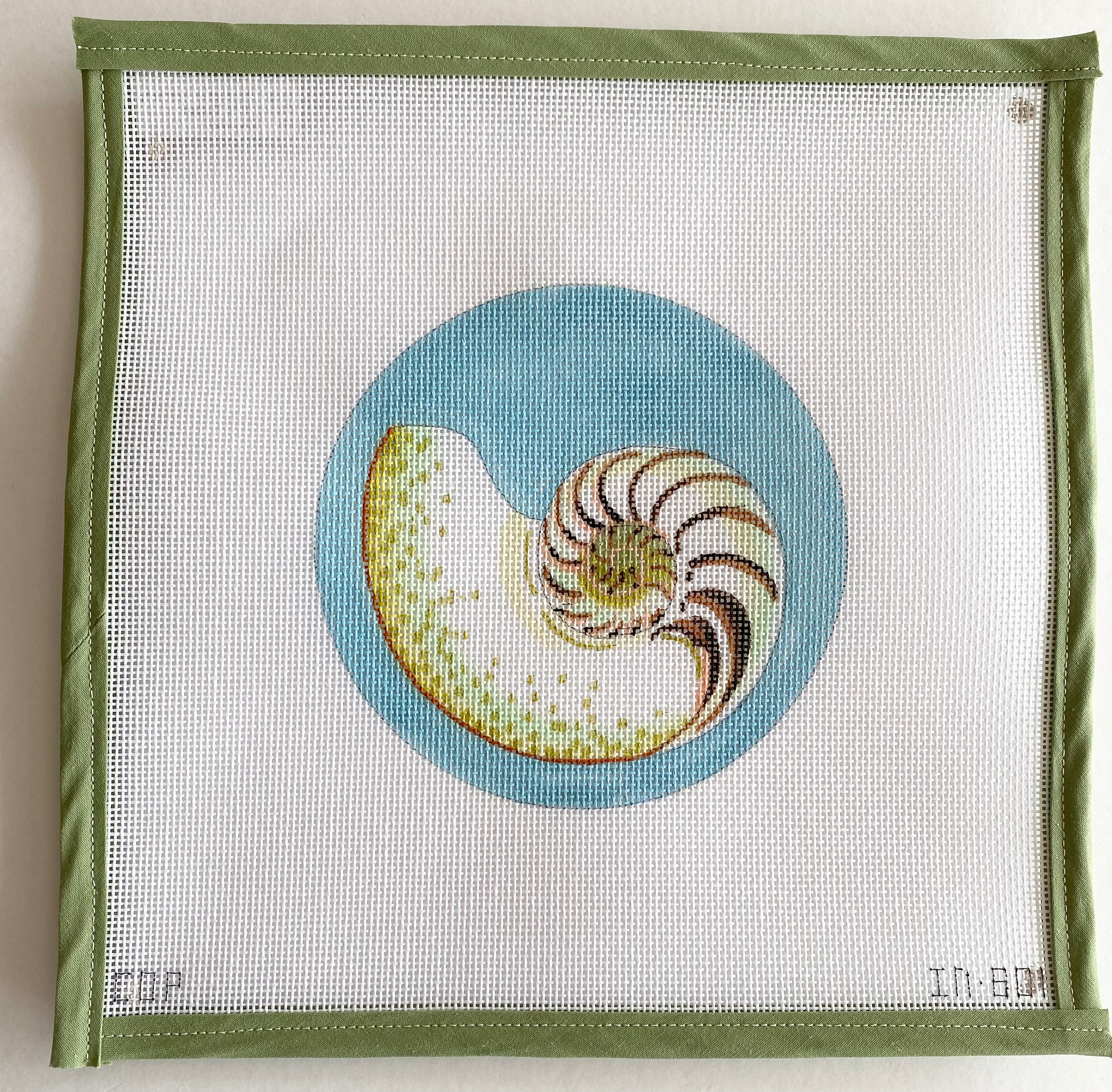 Shell with blue background