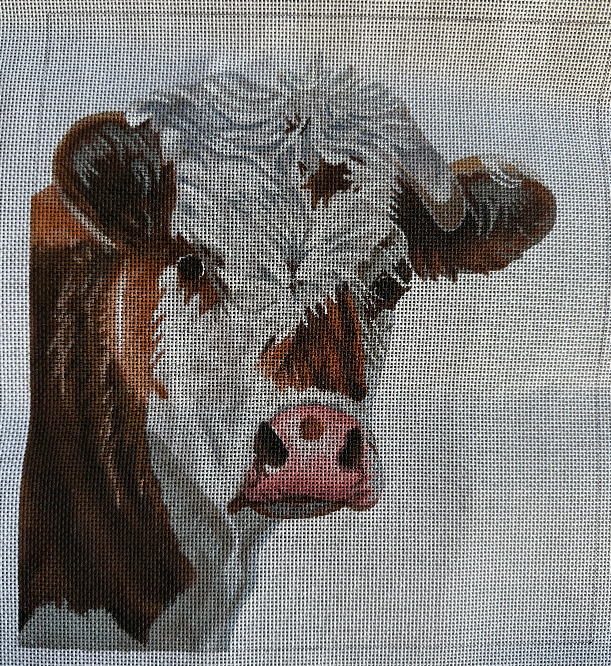 Cow 404 Cow