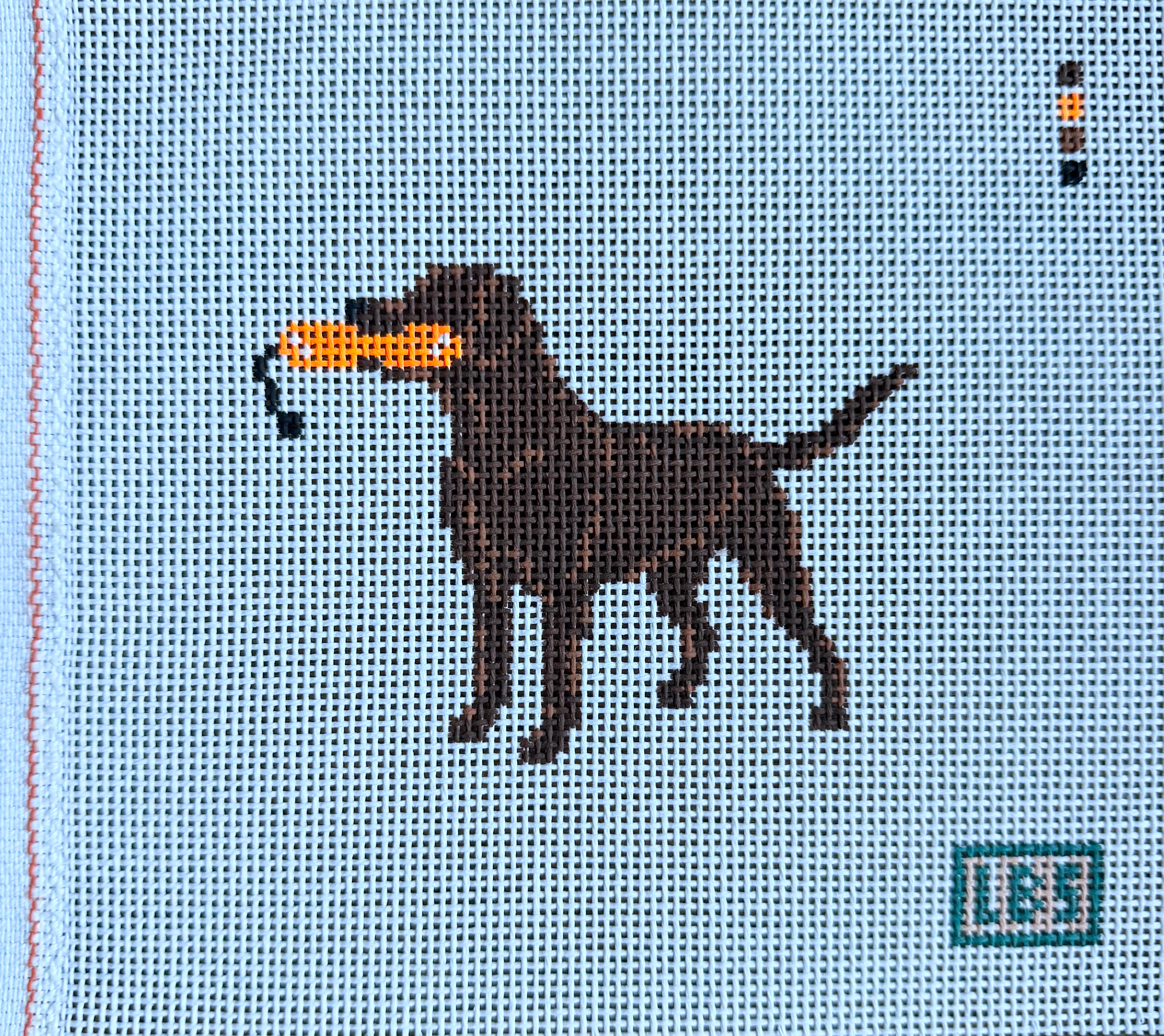 Chocolate lab with bumper