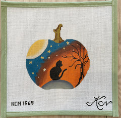 Black cat on pumpkin