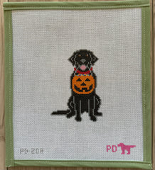 Black lab with pumpkin